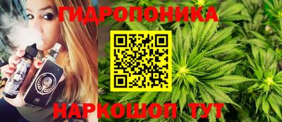 jwh Гусь-Хрустальный
